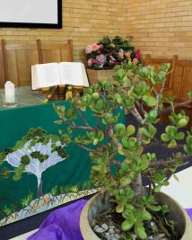 Coburg Uniting Church Melbourne Our Beliefs image: church altar in the background, green plant in the foreground